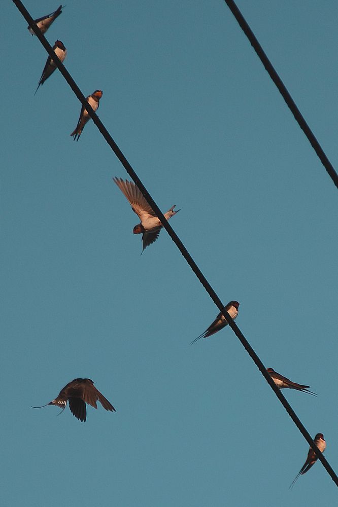 Photograph by Анастасия Данилюк