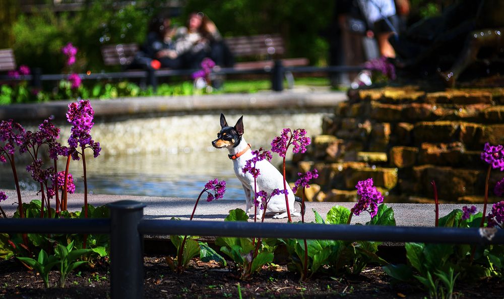 Photograph by Белов Сергей