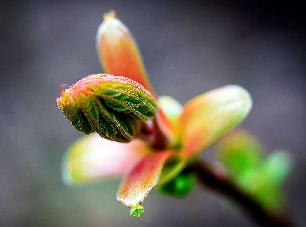 Photograph by Белов Сергей