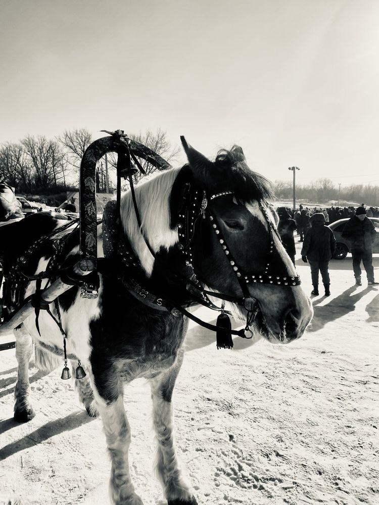 Photograph by Наталья Душакова