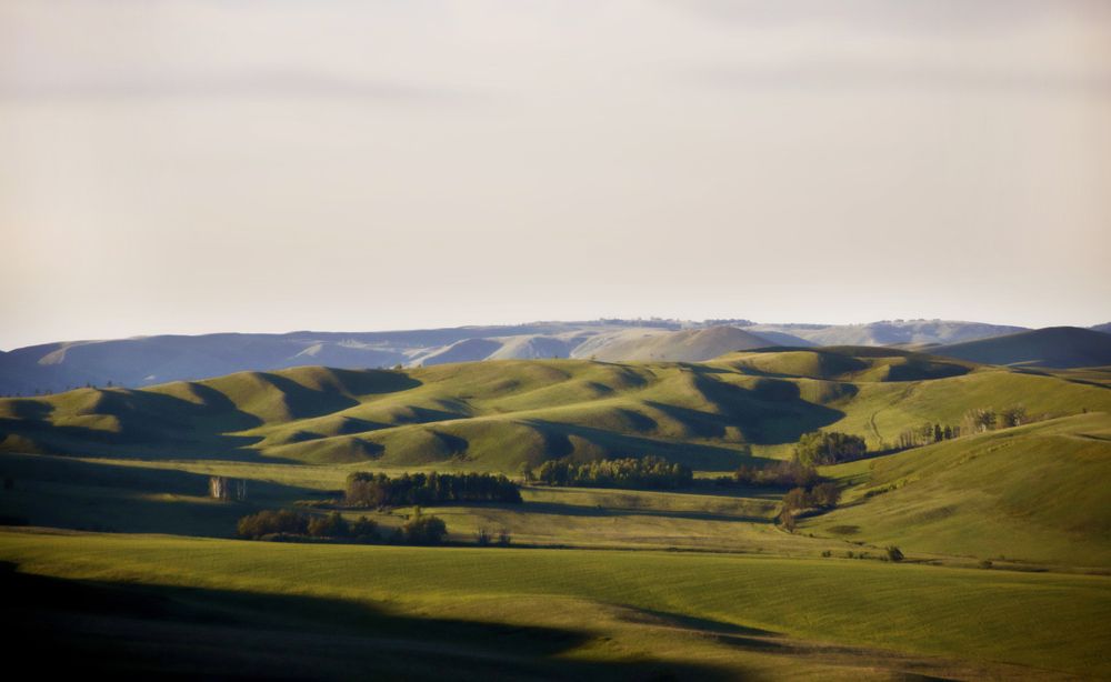 Поэзия весеннего вечера