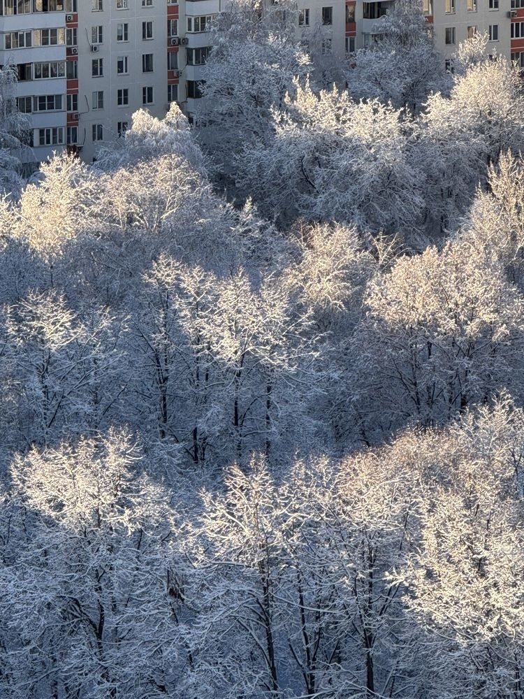 Photograph by Шарова Ольга