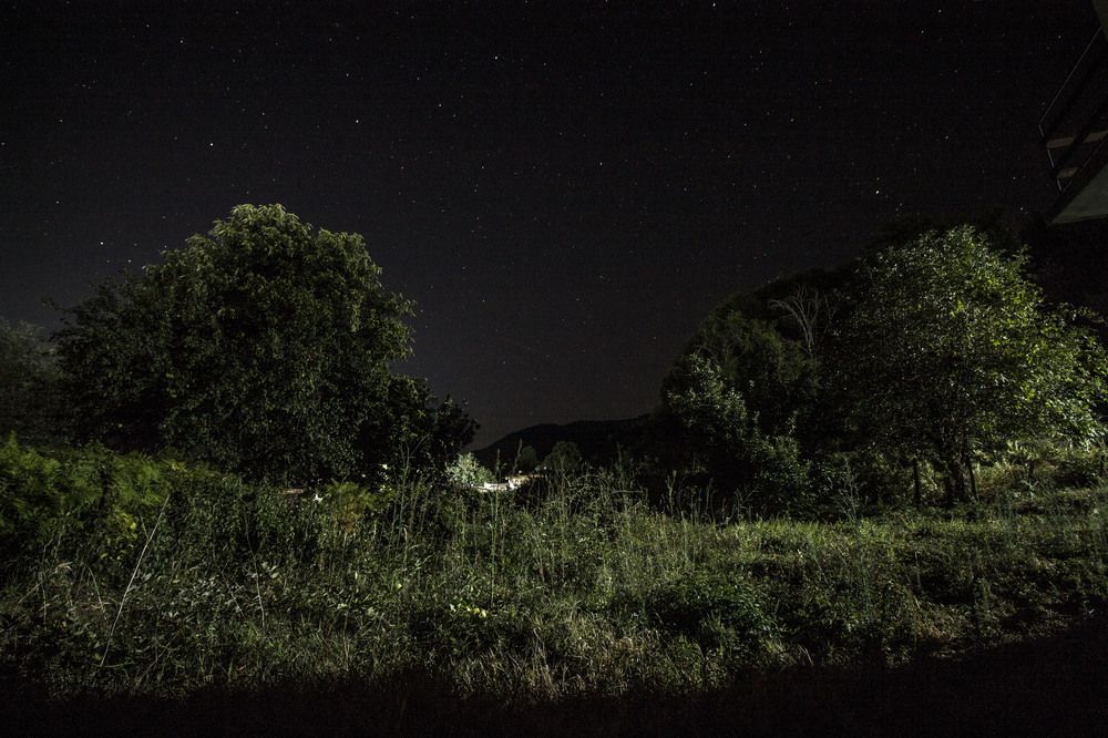 Photograph by iliya levkov