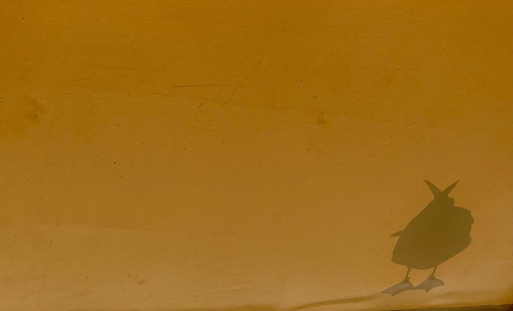 Photograph by Евгения Володина