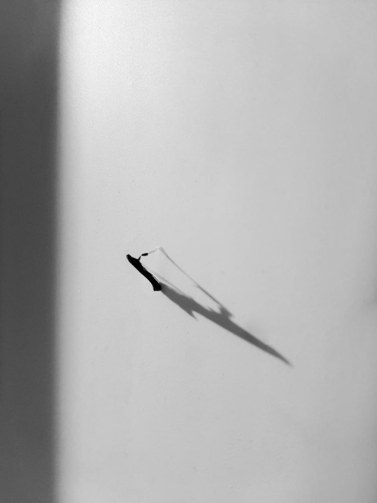 Photograph by Ирина