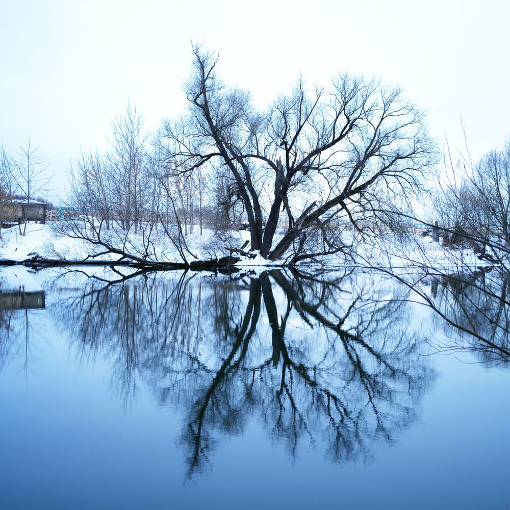 Бабочка. Река Пахра