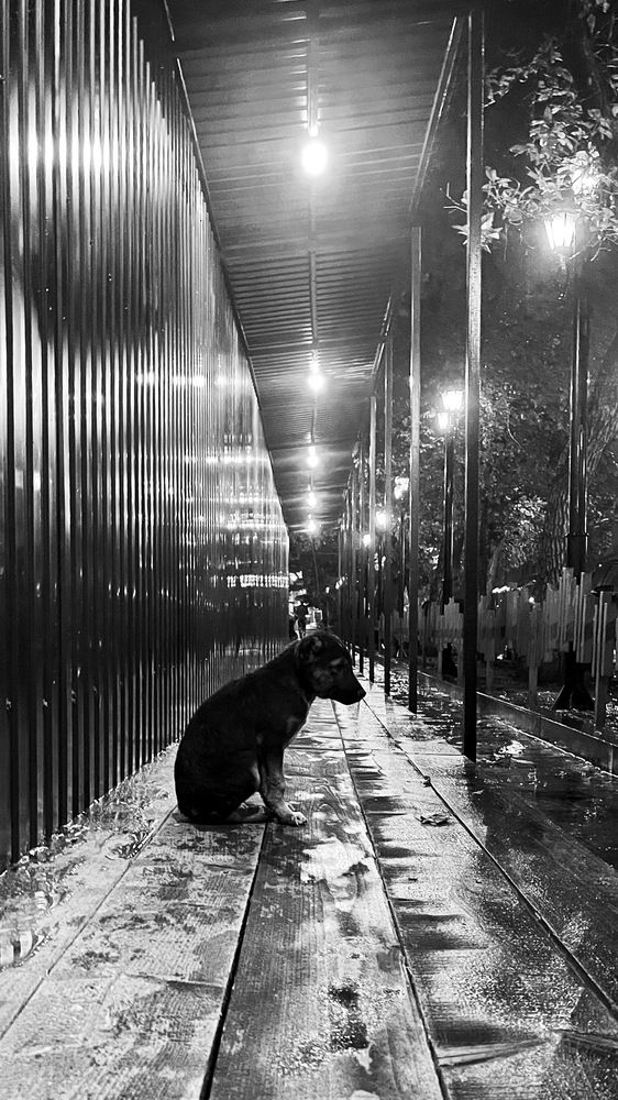 Фотография автора Эделев Владимир