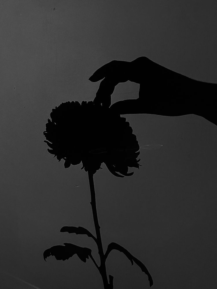 Photograph by Мария Бурик