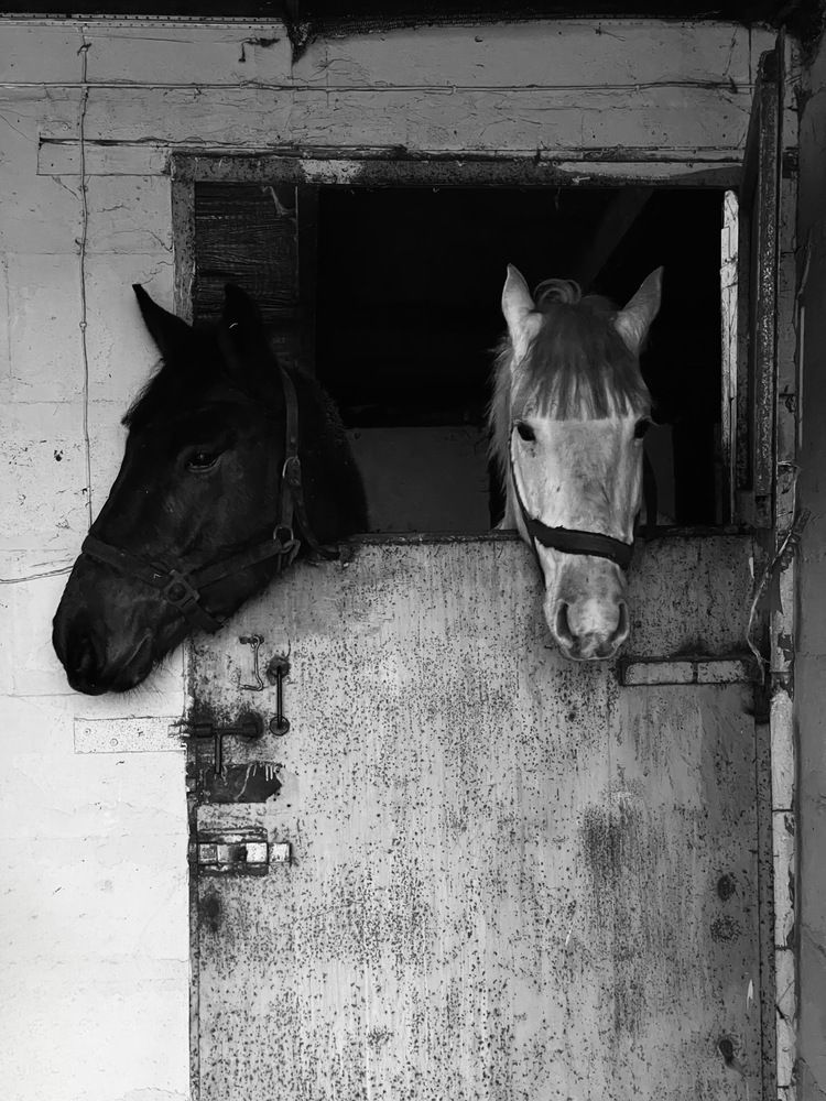 Photograph by Марина Фомичева