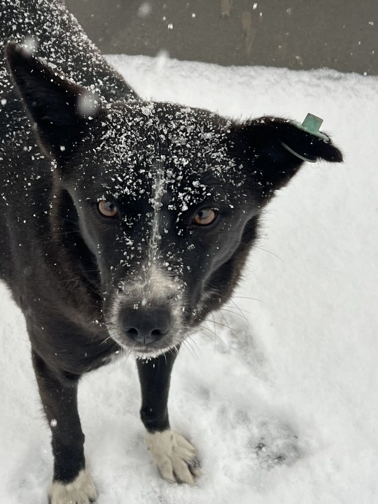 Photograph by Зарина