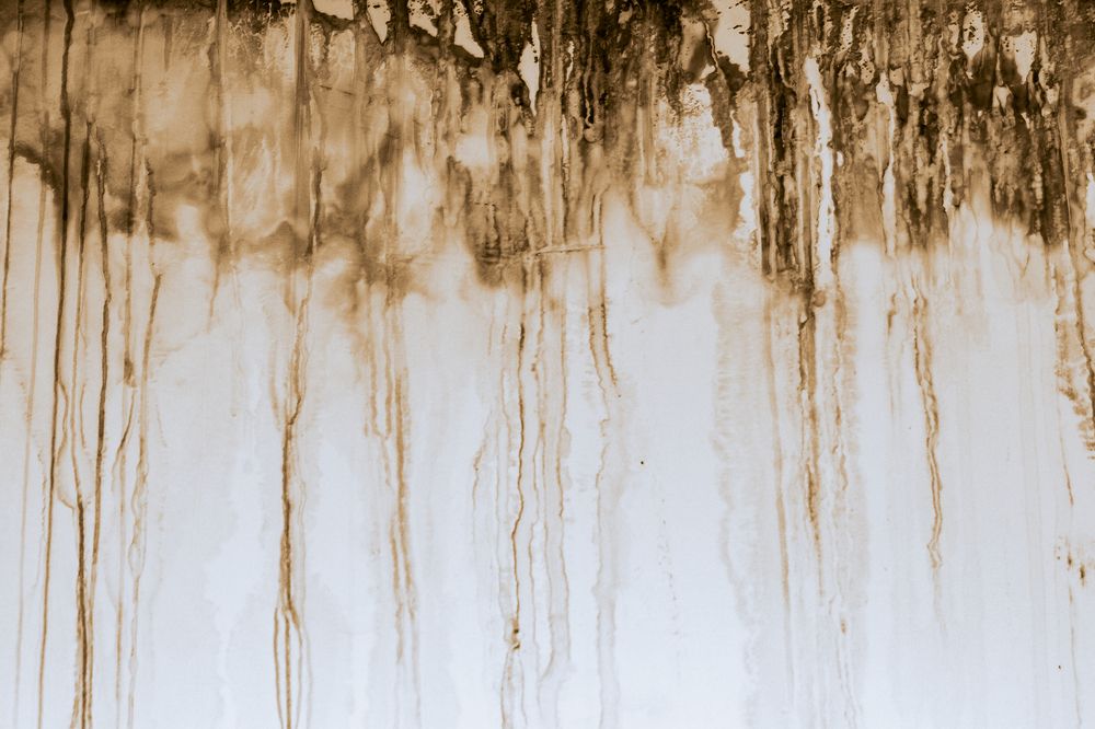 Photograph by Ирина Фатеева