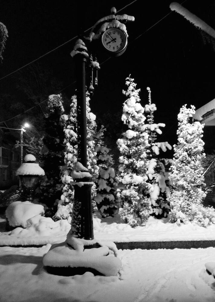 Photograph by Светлана Васильева