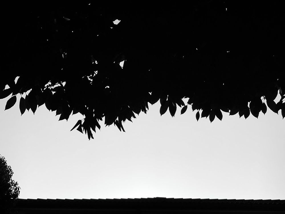 Photograph by Константин Дерюгин