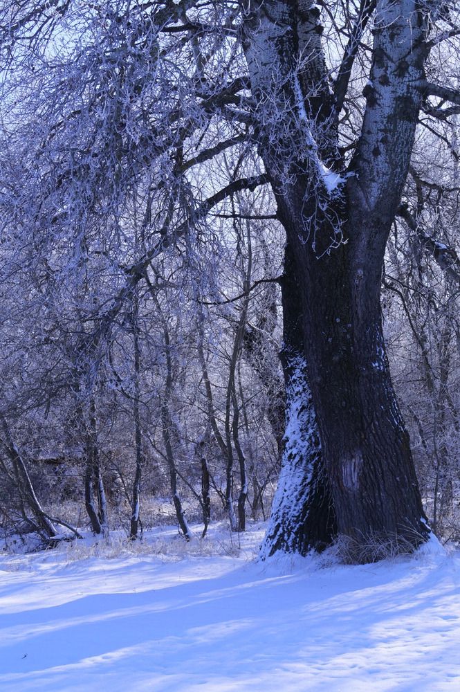 Photograph by Ирина Чувило