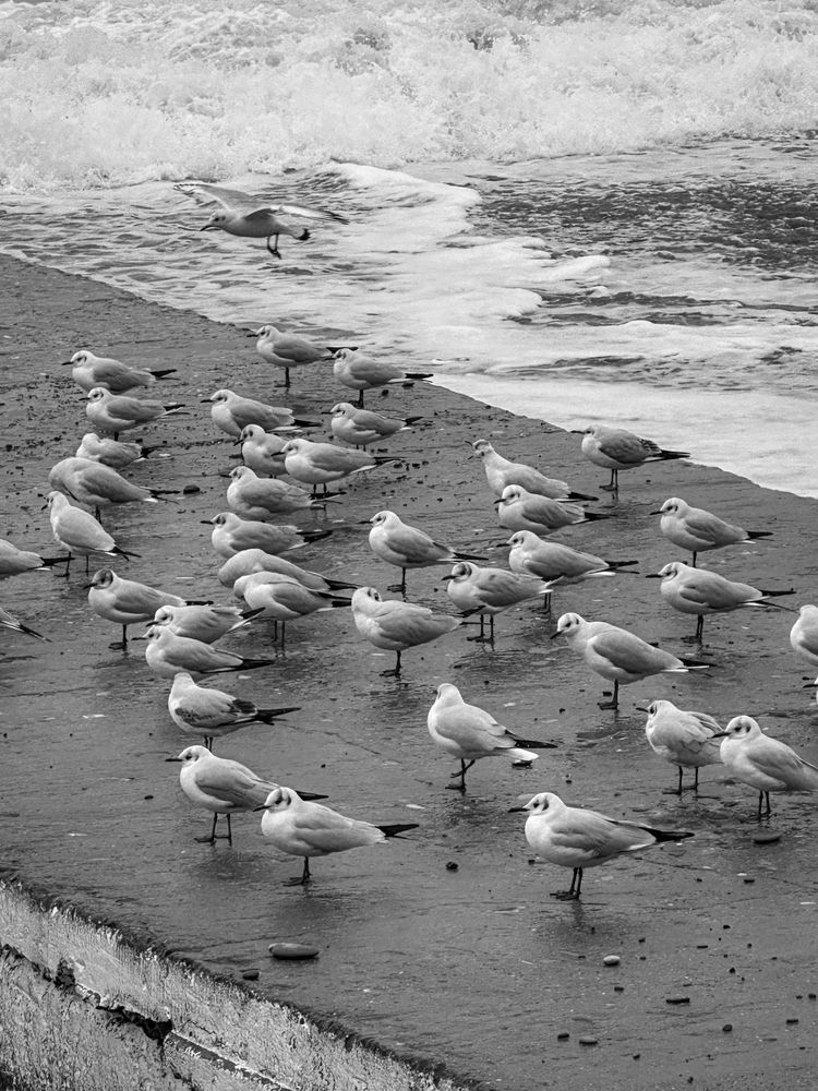 Photograph by Анастасия Сартакова