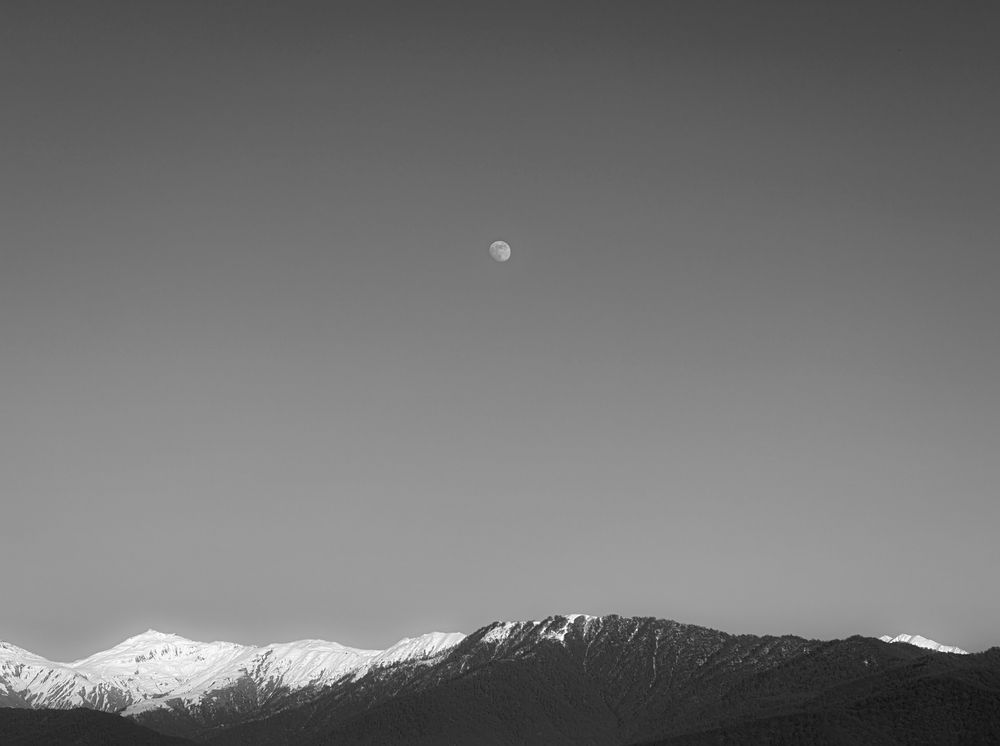 Photograph by Анастасия Сартакова