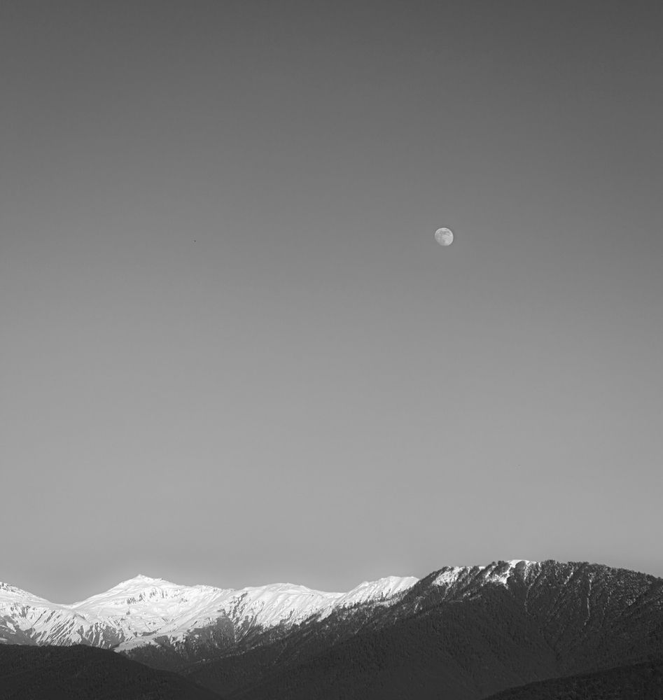 Photograph by Анастасия Сартакова