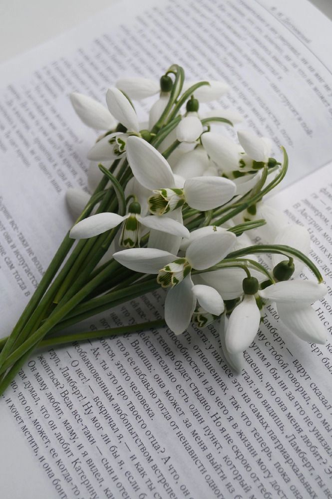 Photograph by Ирина Чувило