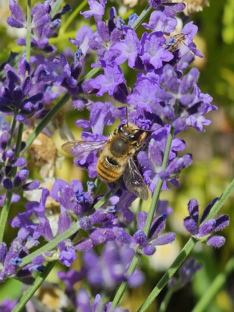 Photograph by Вадим Богатиков