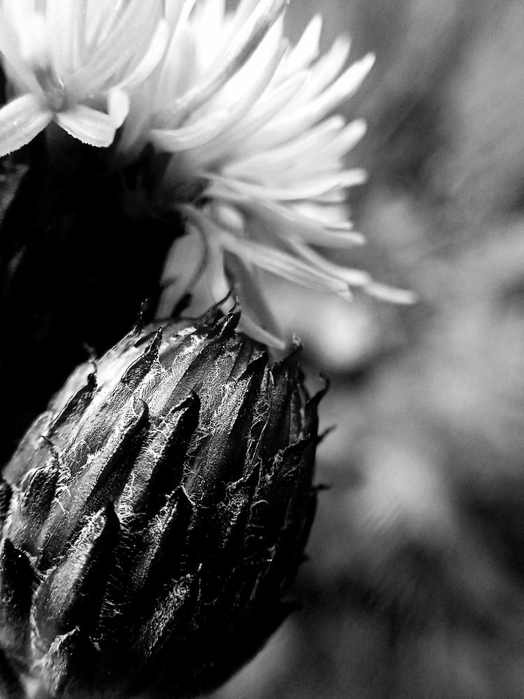 Фотография автора Екатерина Солохина