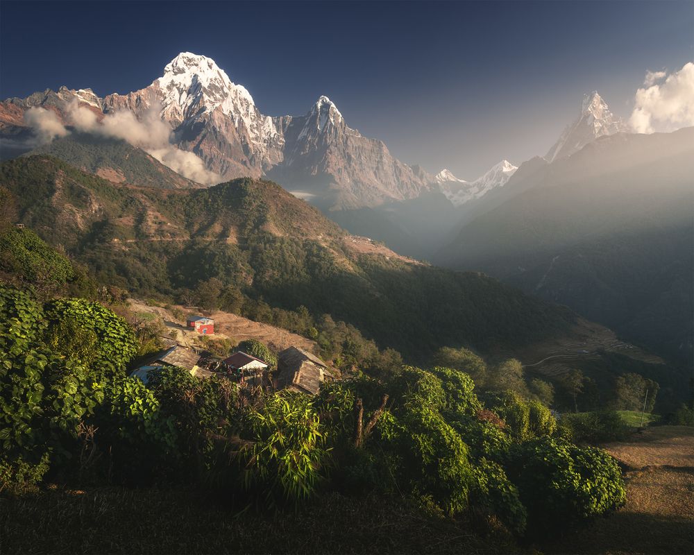 Photograph by Политова Анна