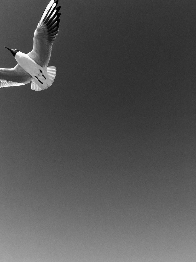 Photograph by Яна Сел