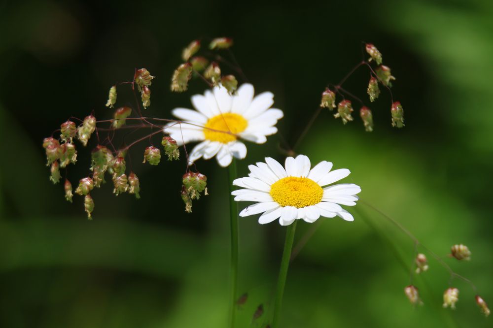 Природа рисует...