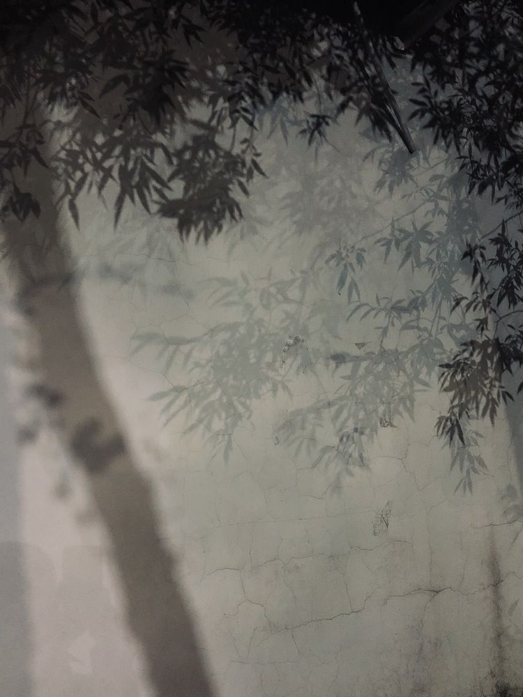 Photograph by Натали Кытманова