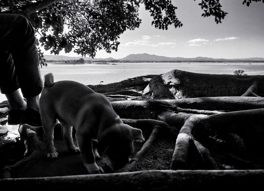 Photograph by Abu Darda