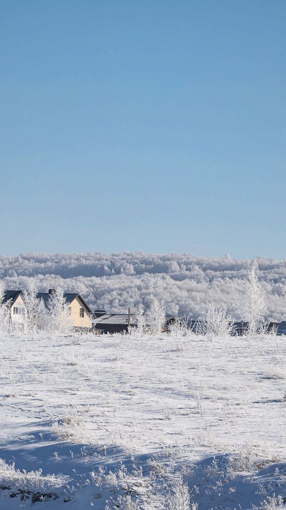 Photograph by Виктория Мамлеева