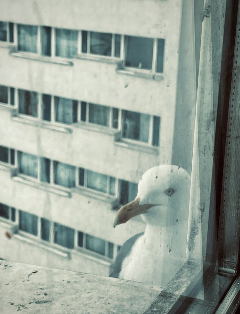 Photograph by Екатерина Сбитякова