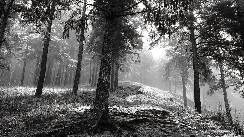 Photograph by Вадим Басов