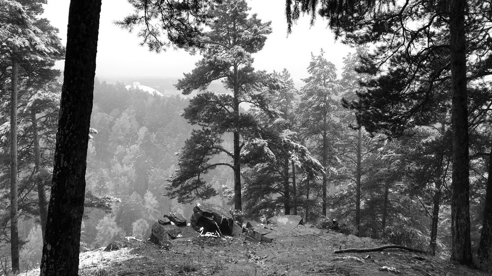 Photograph by Вадим Басов