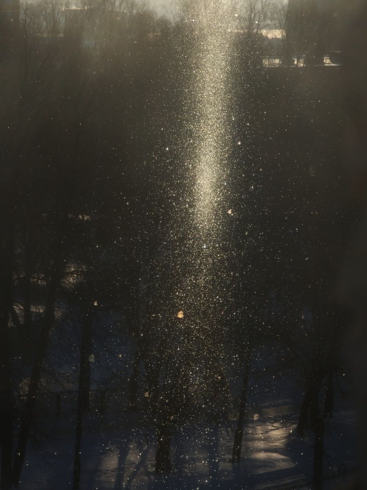 Photograph by Ксения Шилина