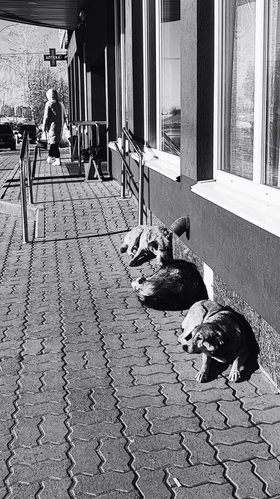 Photograph by Виктория Мамлеева