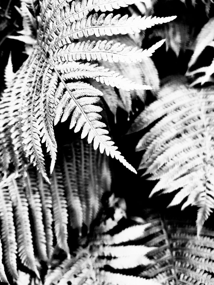 Photograph by Елена Егорова