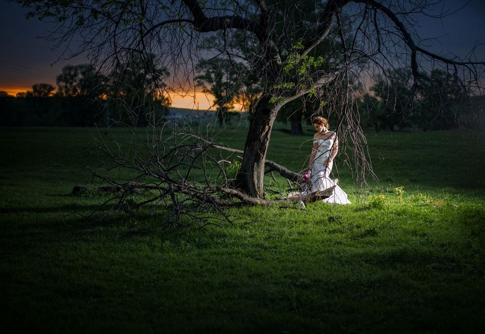 Фотография автора Сергей Сергеев
