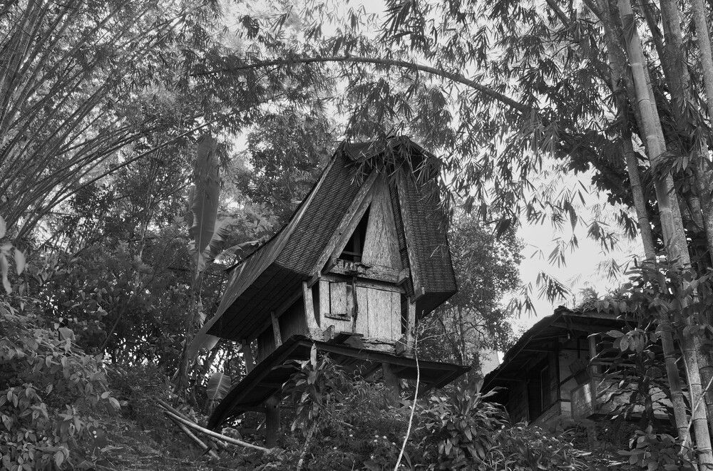 Photograph by Yoese Mariam