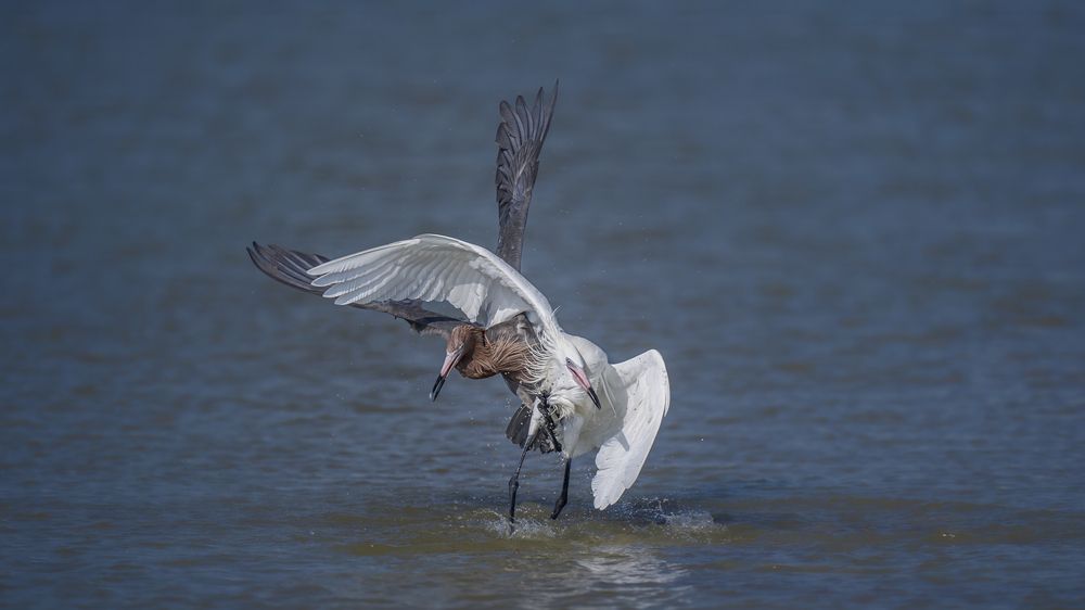 Photograph by Angie Birmingham