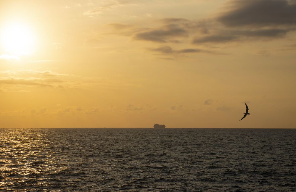 Океан в вечерних красках...