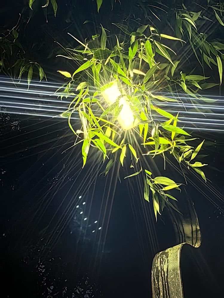 Photograph by Елена Касьянова