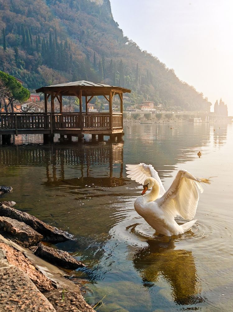 Photograph by Stefania Saba