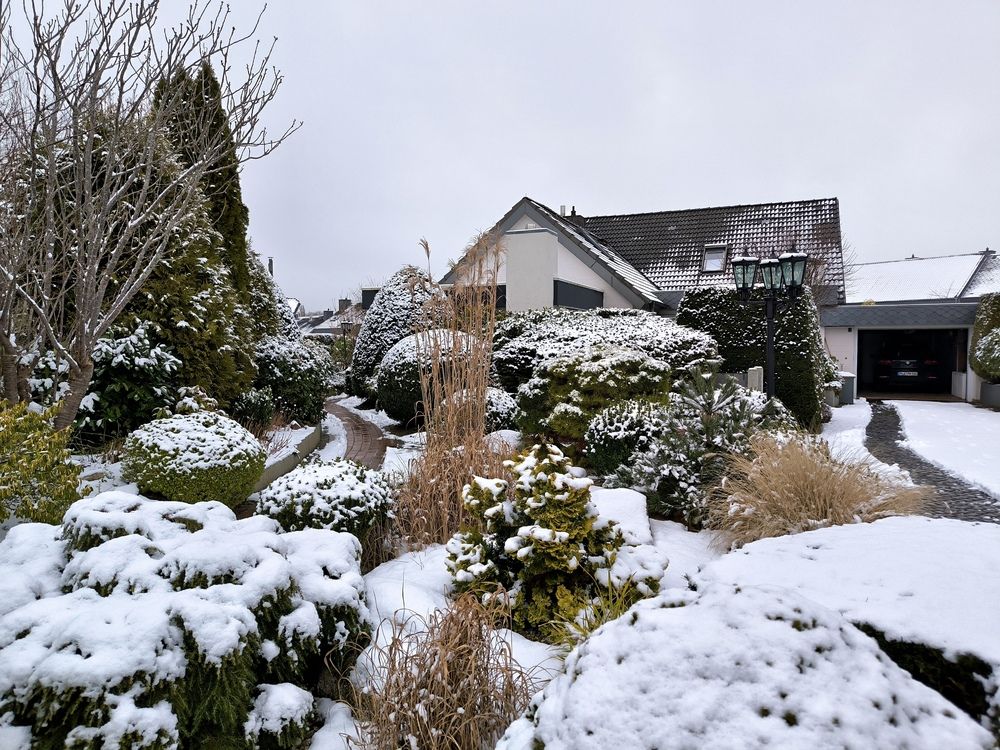 Photograph by Елена Симонова