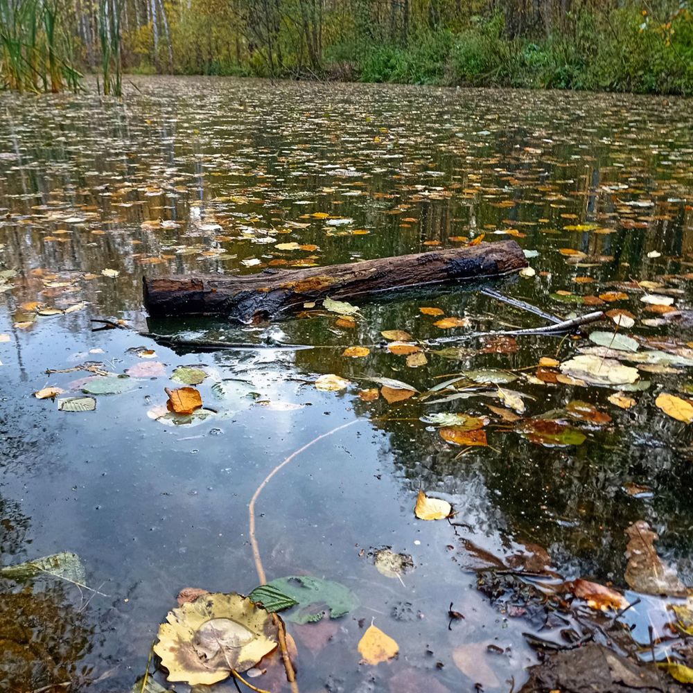 Photograph by Анна Хорина