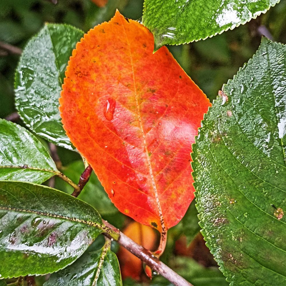 Photograph by Анна Хорина