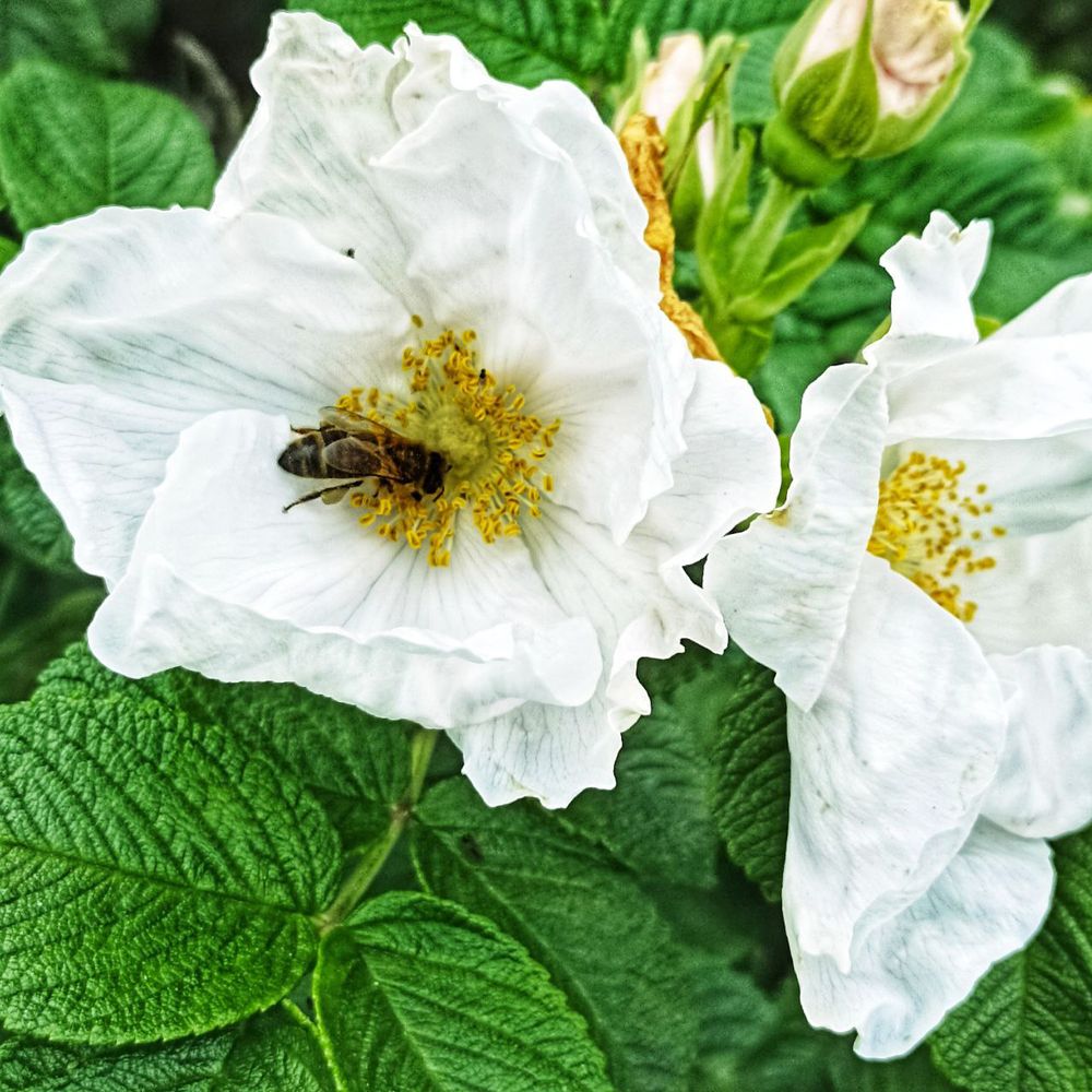 Photograph by Анна Хорина