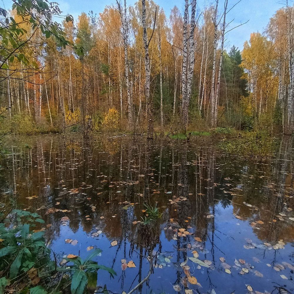 Photograph by Анна Хорина