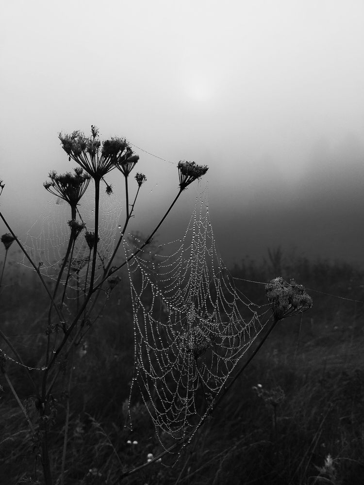 Photograph by Ольга Мартьянова