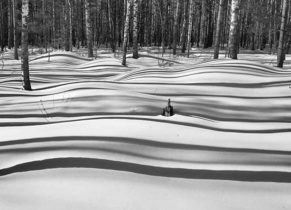 Photograph by Ольга Мартьянова