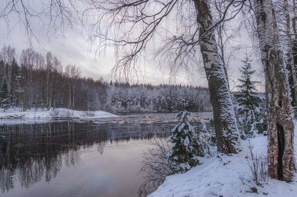 Photograph by Елена Амозова